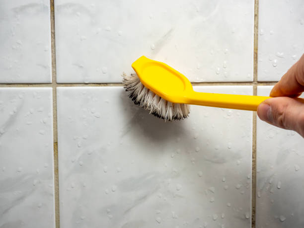 Best Mold Removal Company Near Me  in Dorothy, NJ
