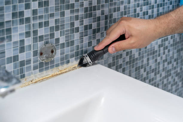 Best Same-Day Mold Removal  in Dorothy, NJ